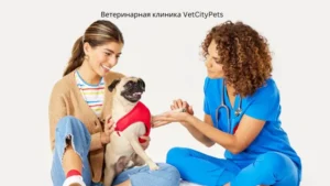 ветеринарная клиника vetcitypets