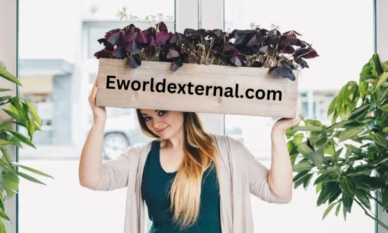 eworldexternal.com